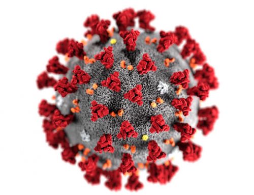 SURVIVING CORONAVIRUS AS A COUPLE