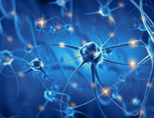 A GENTLE INTRODUCTION TO NEUROFEEDBACK